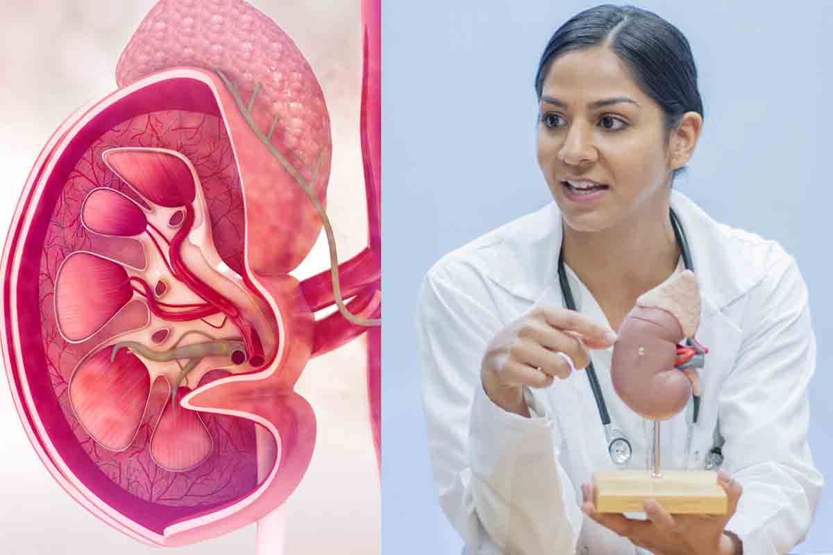 ప్రతి మూత్రపిండ రోగీ డయాలసిస్‌ చేయించుకోవాలా? అసలు ఎవరికి అవసరం?