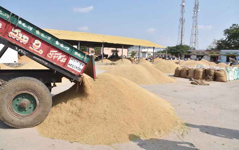 లక్ష్యం 16,72 మెట్రిక్‌ టన్నులు