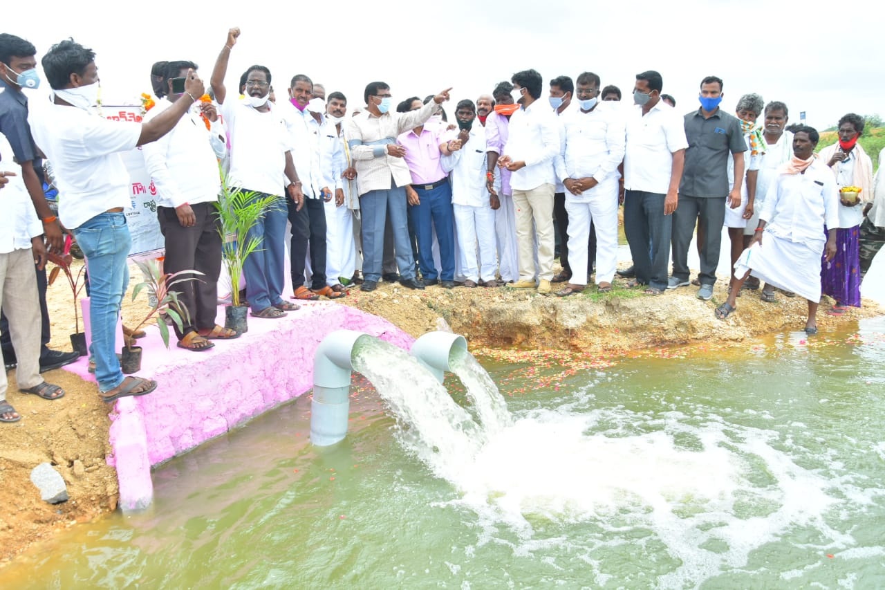 కరువు నేలలో జలసిరులు