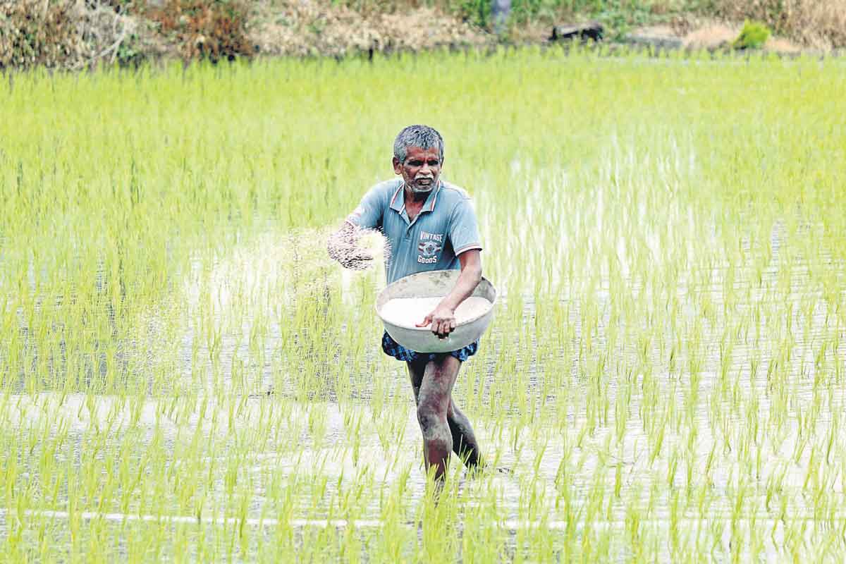పచ్చని దృశ్యం మాటున ప్రమాద ఘటిక