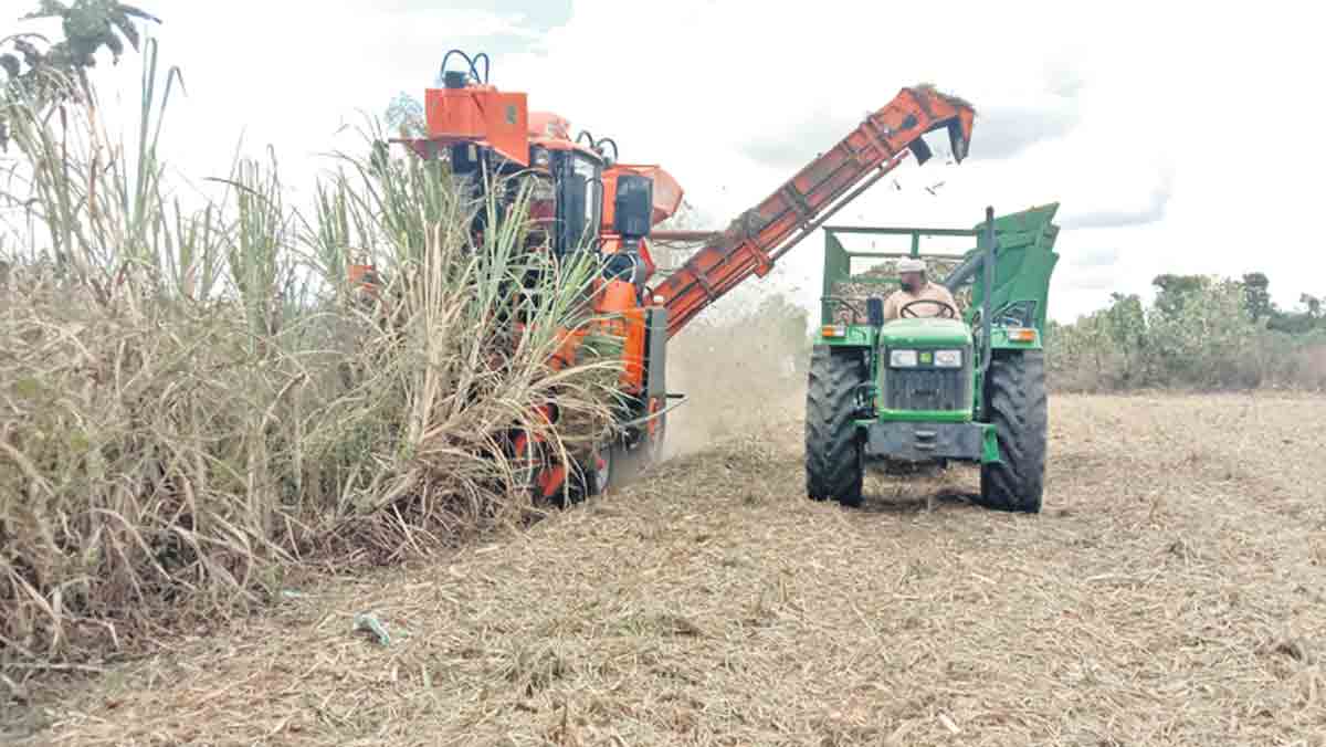 రైతులకు వరం చెరకు కోత మిషన్‌