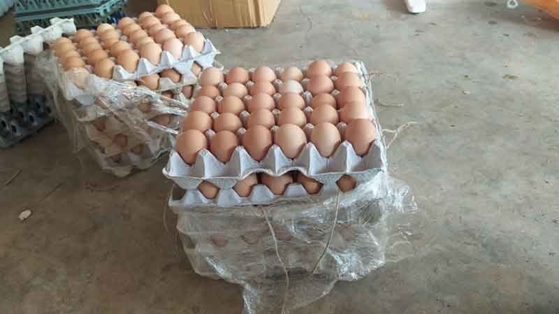 వ్యాపారంలో గోల్డెన్‌ లె(ఎ)గ్‌