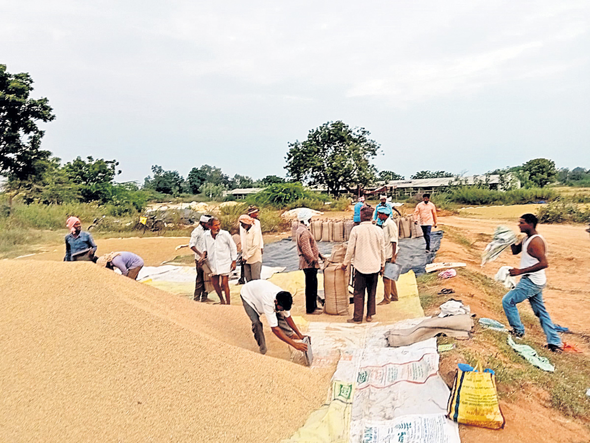 జోరుగా ధాన్యం కొనుగోళ్లు