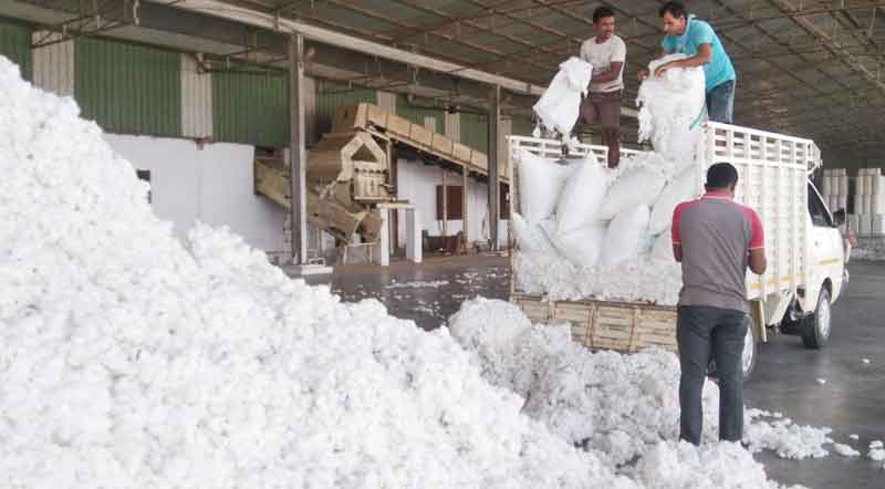 పత్తి క్వింటాలు ధర రూ.8149