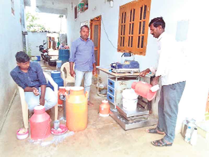 ఉపాధి ‘పాల’దారి