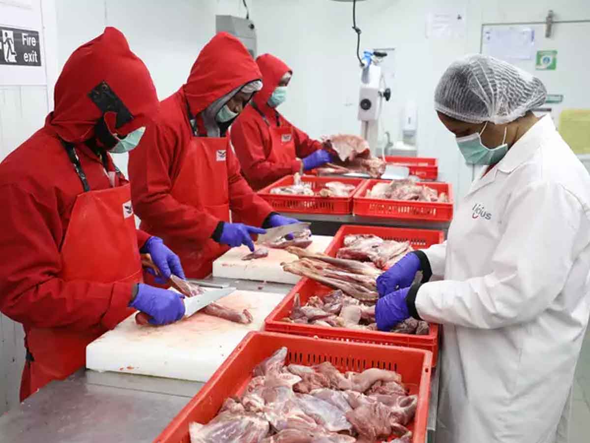 Hyderabadis to check quality meat | హైద‌రాబాదీలు.. మీరు తినే మాంసం చెక్ చేసుకుంటున్నారా?