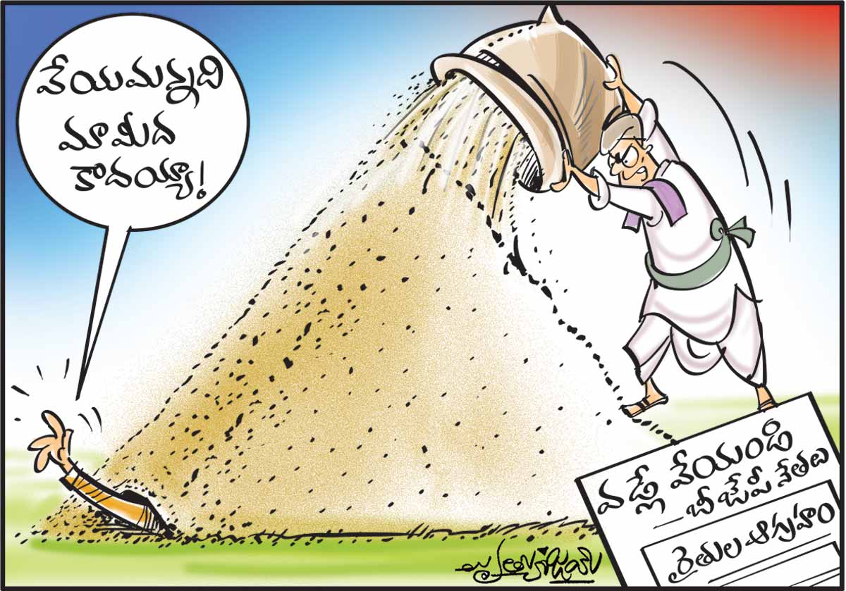 నల్లగొండ కంకులు మర్లవడ్డయ్‌!