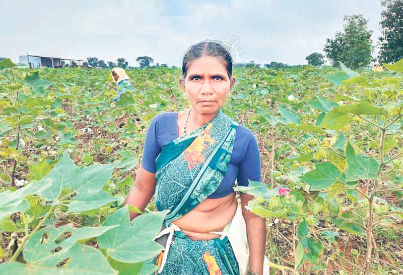 వలస దృశ్యం మారింది