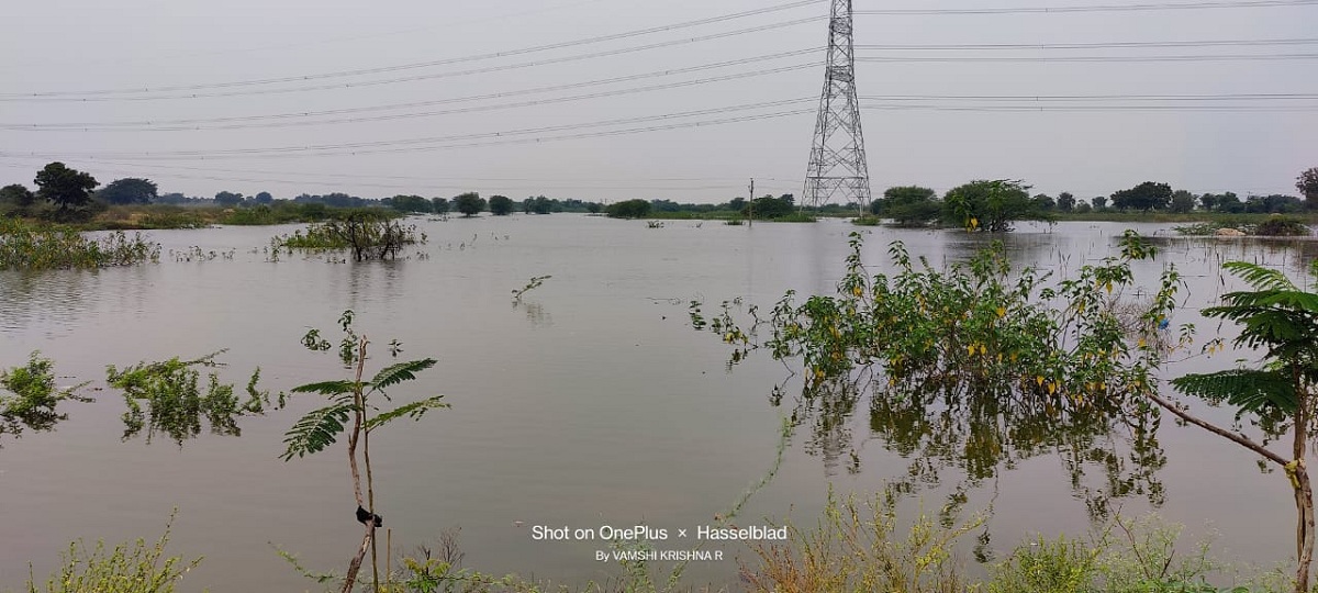 కుంటలకు జలకళ