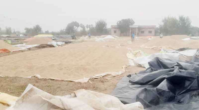 నాణ్యత పాటిస్తే.. పూర్తి ‘మద్దతు’