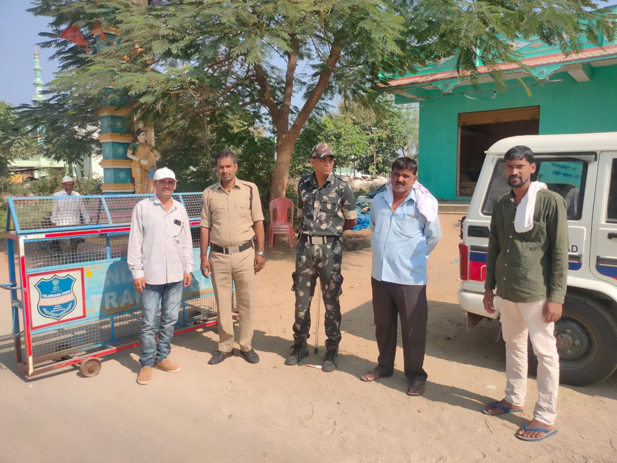 మహ ధాన్యంపై నిషూ..