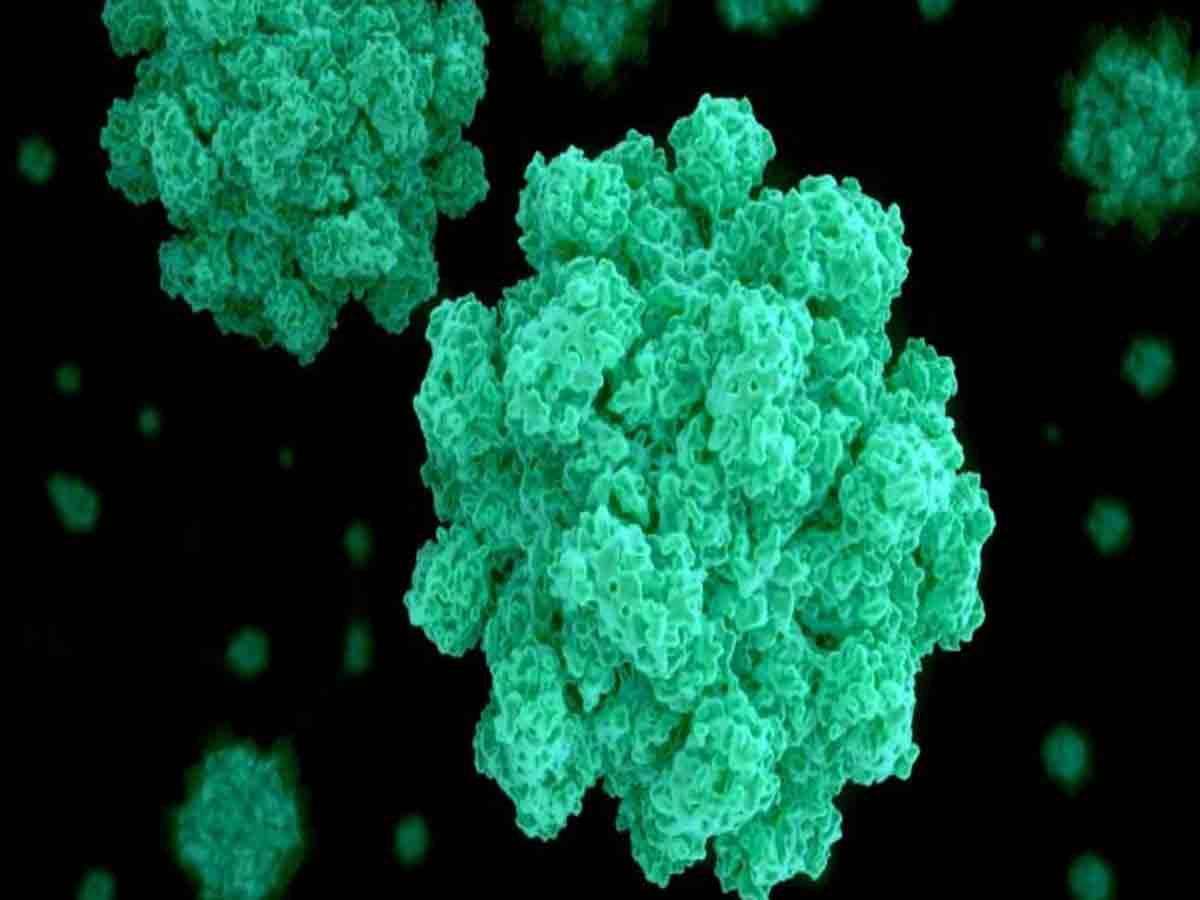 కేరళలో మరో వైరస్‌ కలకలం.. వాయనాడ్‌లో నోరో వైరస్ కేసులు