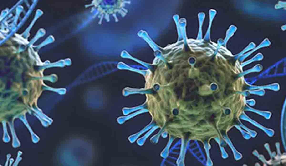 Omicron | అది డెల్టా కాదు.. సౌతాఫ్రికా నుంచి వచ్చిన వ్యక్తి ఆరోగ్యంపై మంత్రి కామెంట్స్