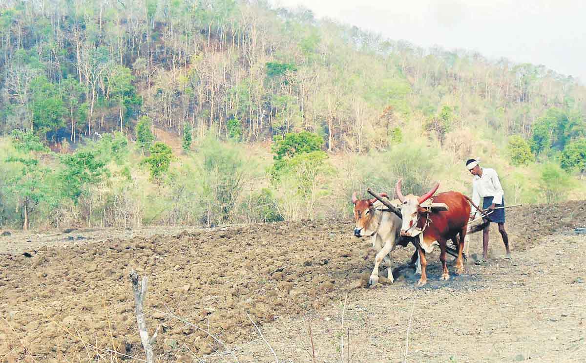 పోడు భూములకు హక్కు