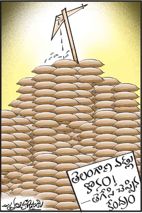 డైలీ కార్టూన్‌ 19-11-2021