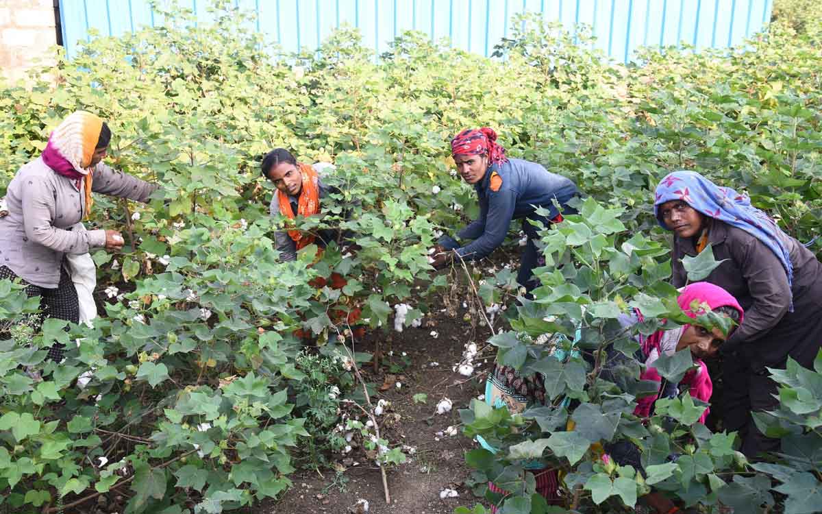 కర్నూల్‌ టు పరిగి