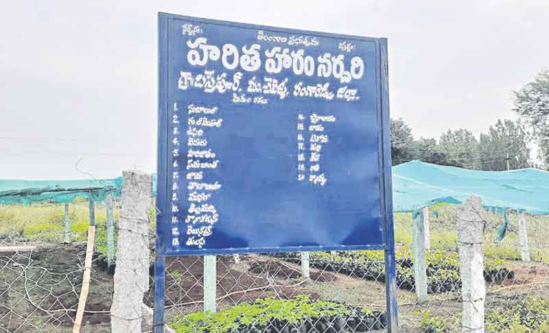 పచ్చదనం.. పల్లె పరవశం