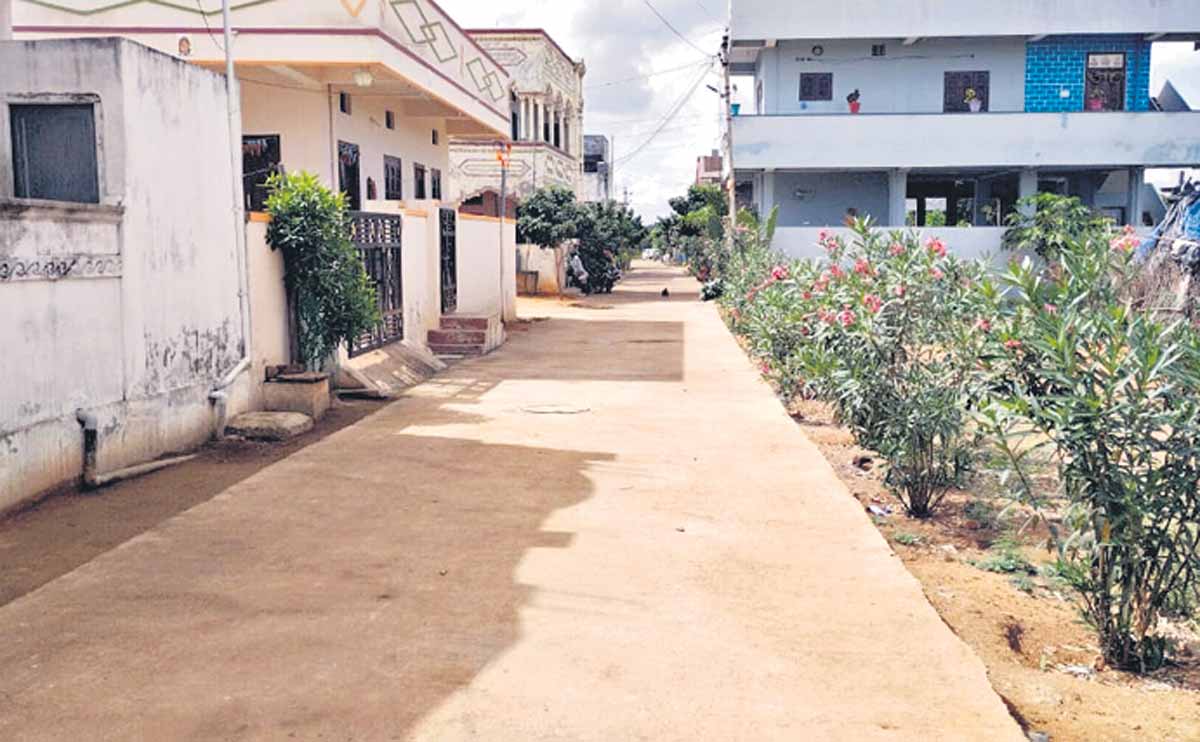 చిన్న పంచాయతీల్లో.. ప్రగతి పరుగులు