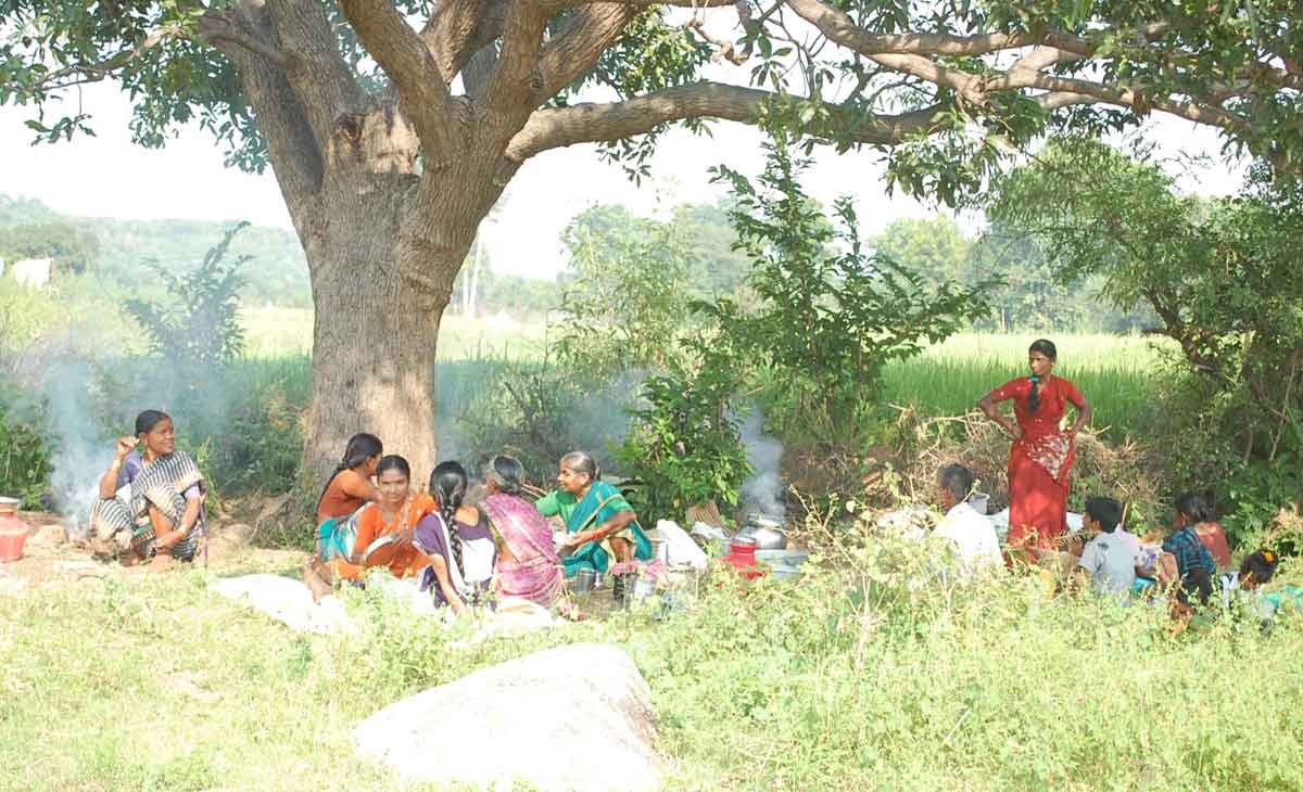 జనం నుంచి వనంలోకి..