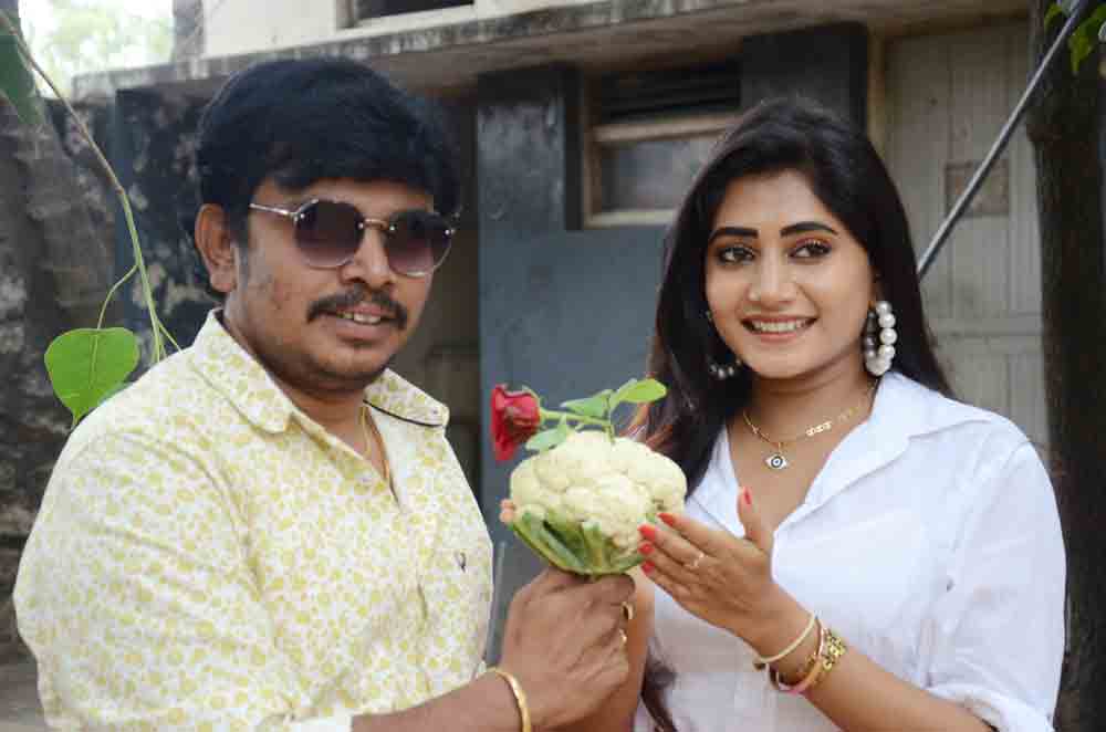 పరాజయాల బాధ్యత నాదే