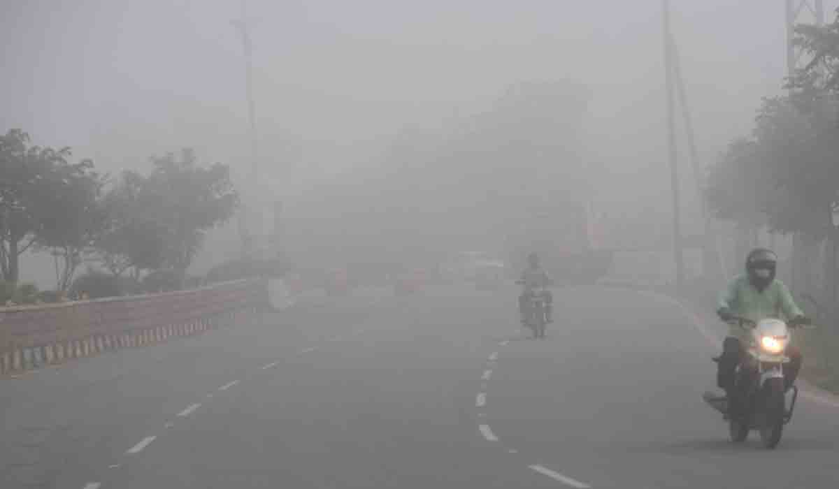 Weather Report | వణికిస్తున్న చలి.. మరో మూడు రోజులు భారీగా తగ్గనున్న ఉష్ణోగ్రతలు