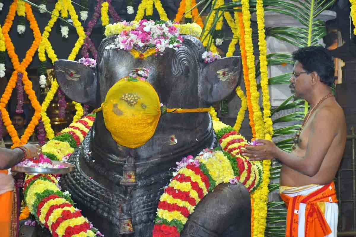 శ్రీశైలంలో వైభవంగా త్రయోదశి పూజలు