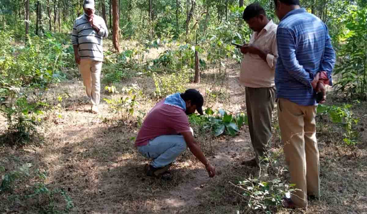 ములుగు జిల్లాలో పెద్దపులి జాడలు.. అడవిలోకి వెళ్లొద్దని హెచ్చరిక