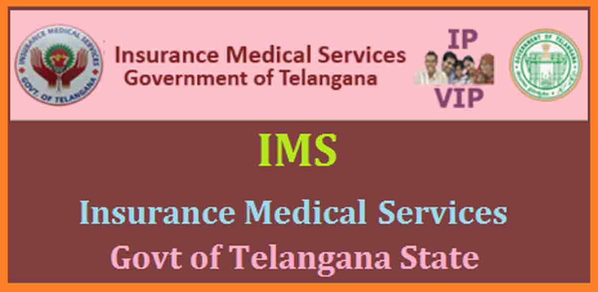 డొల్ల కంపెనీలతో కోట్లు కొట్టేశారు