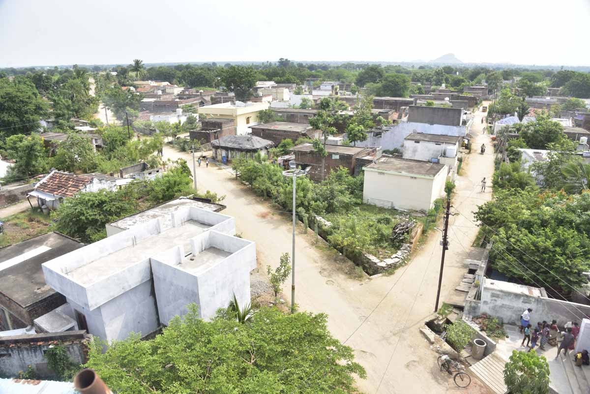 పంటల్లో ప్రయోగాలకు కేరాఫ్‌ దామెర