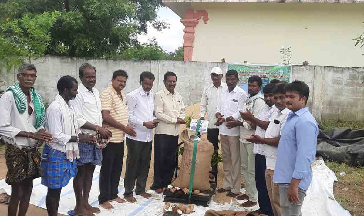 కొనుగోలు కేంద్రాలను వినియోగించుకోవాలి