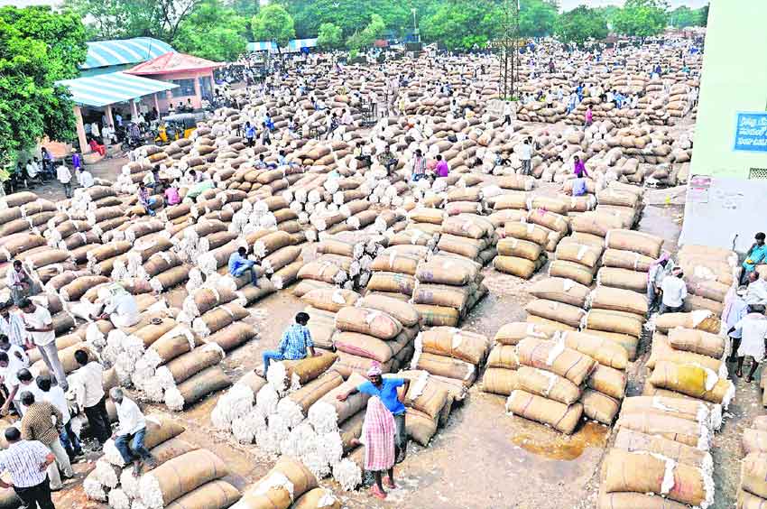 పత్తి ధర పైపైకి..