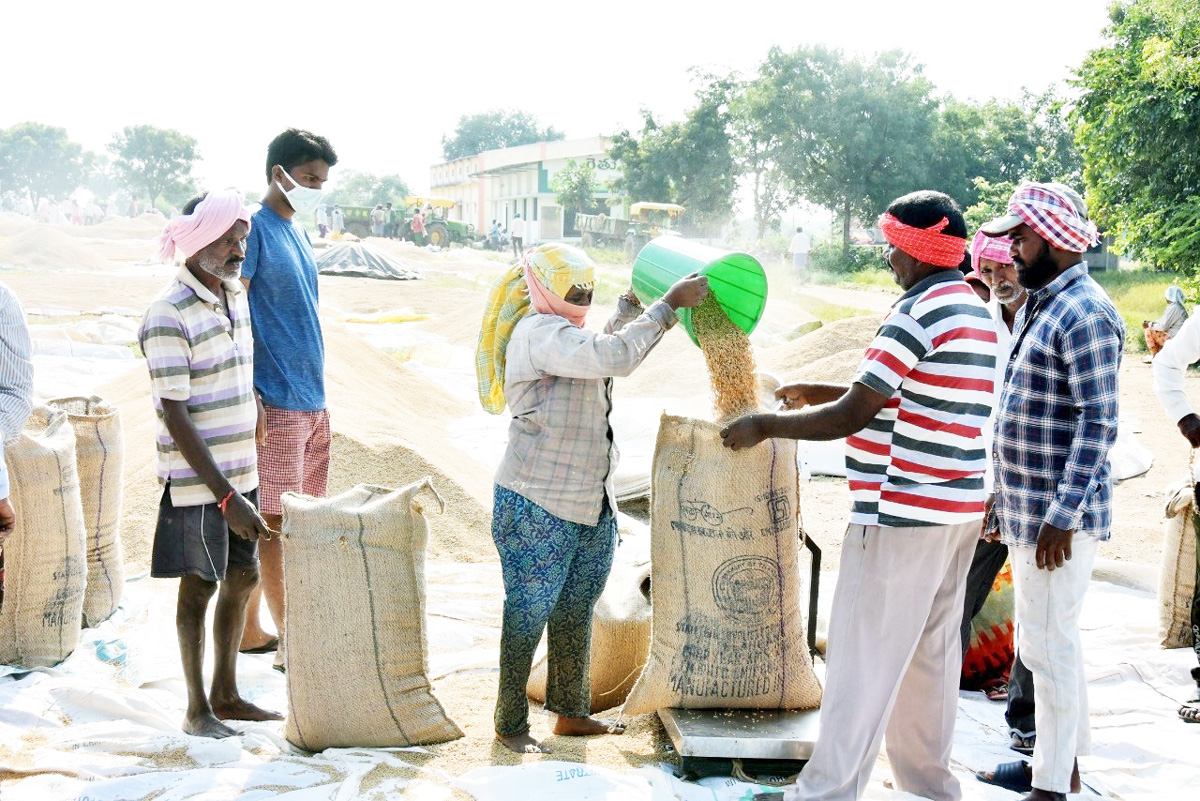 వడ్ల కొనుగోళ్లకు పక్కా ప్రణాళిక