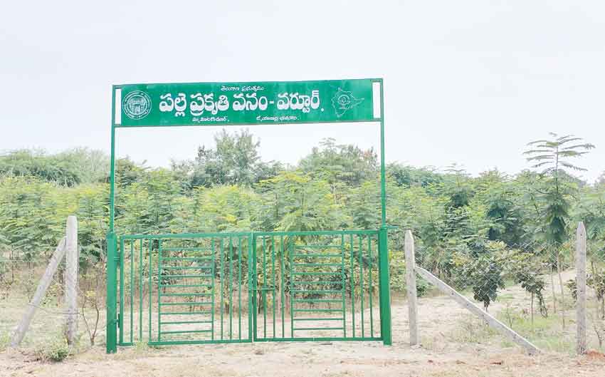 పల్లె ప్రగతిలో ఆదర్శం వర్టూర్‌