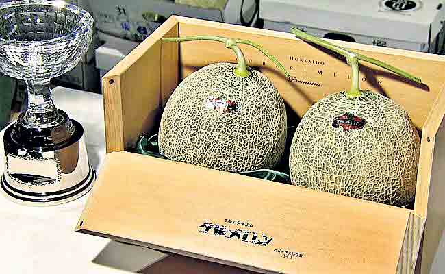 ఈ పండు కిలో 20 లక్షలు!