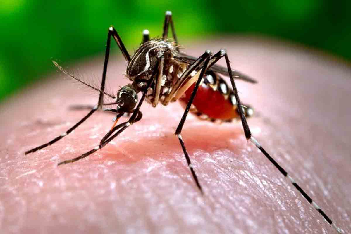 Zika virus: కాన్పూర్‌లో విస్త‌రిస్తున్న‌ జికా వైర‌స్.. 79కి పెరిగిన కేసుల సంఖ్య