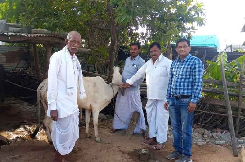 పశువులకు టీకాలు వేయించాలి