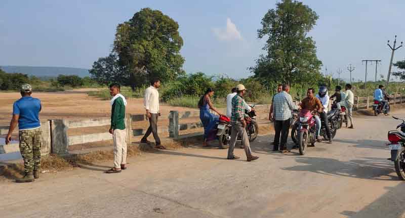 బాబోయ్‌ పెద్దపులి