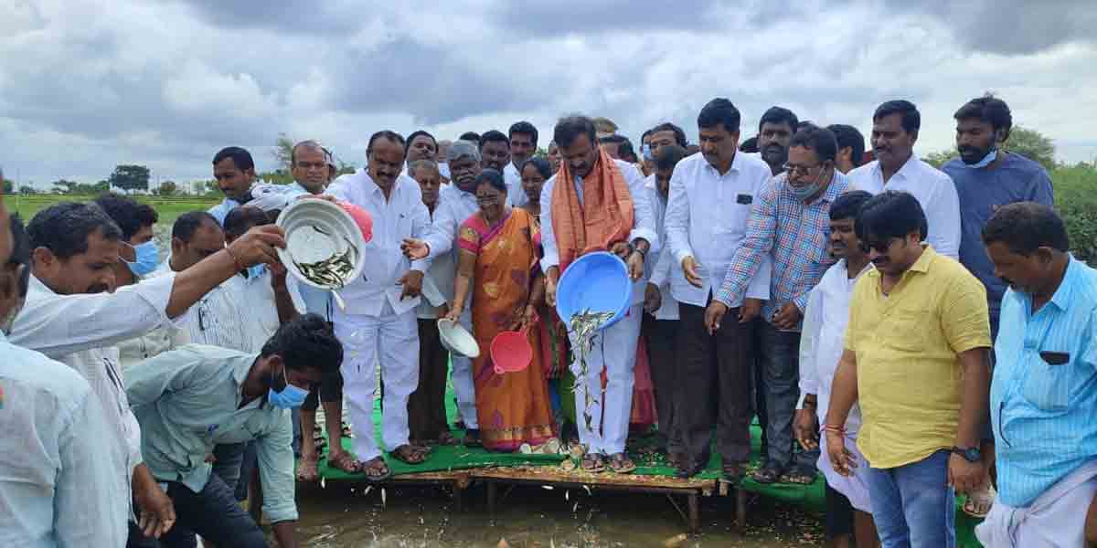 Blue Revolution | తెలంగాణలో నీలి విప్లవం : ఎమ్మెల్యే వెంకటేశ్వర్‌రెడ్డి