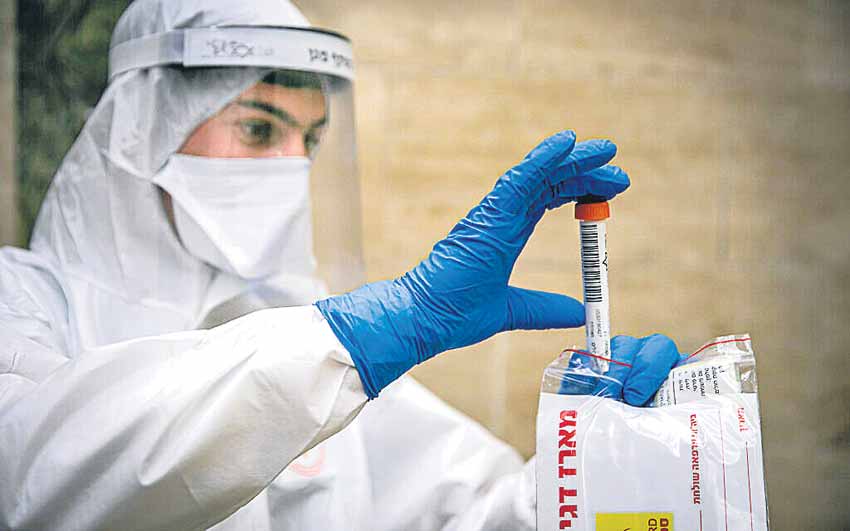 ఏవై.4.2 ప్రమాదకారి కాదు: ఇన్సాకాగ్‌