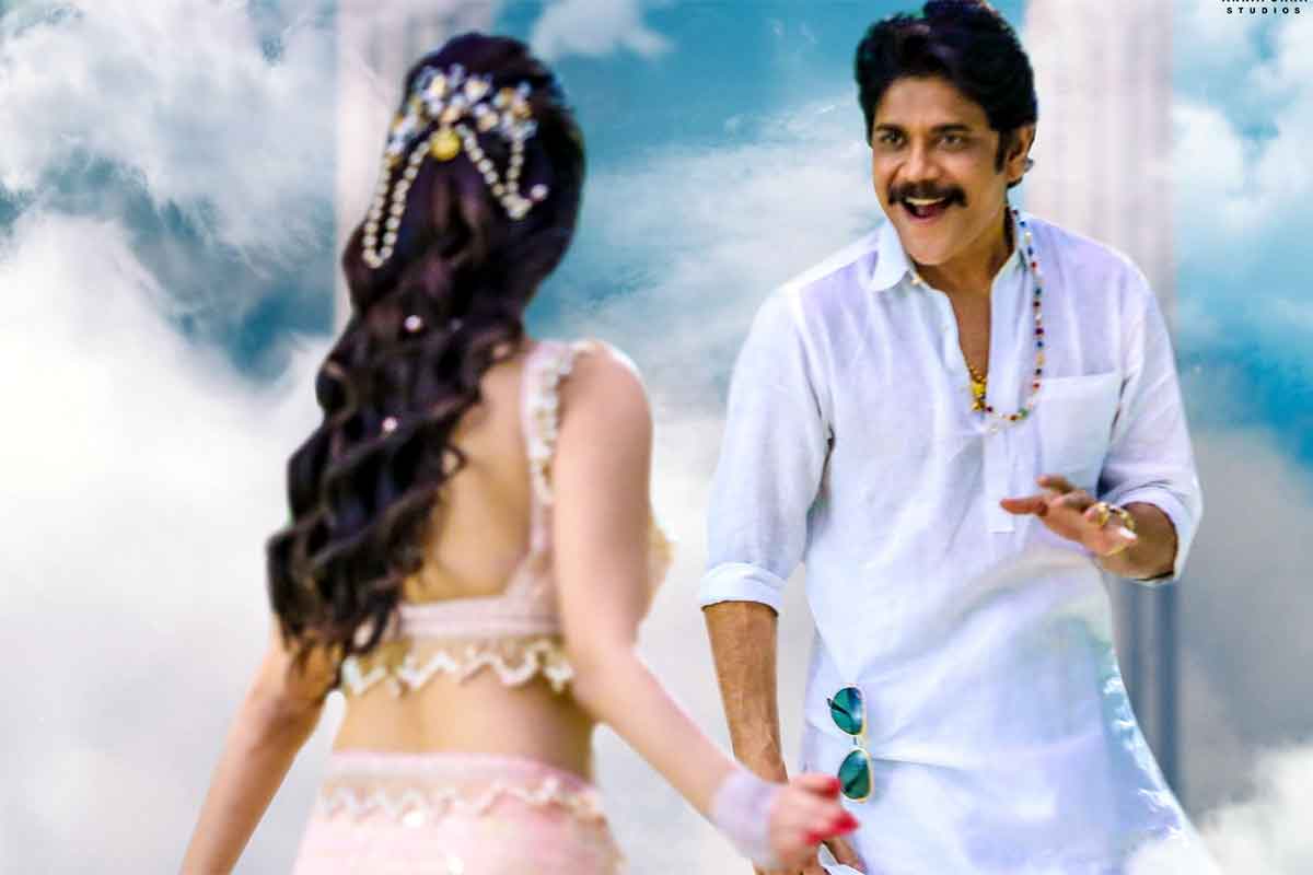 బంగార్రాజు నాగార్జున కెరీర్‌కు డూ ఆర్ డైగా మారనుందా..?