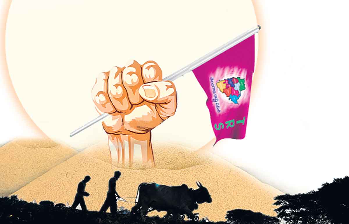 రైతన్నకు దన్నుగా ‘గులాబీ’ జంగ్‌