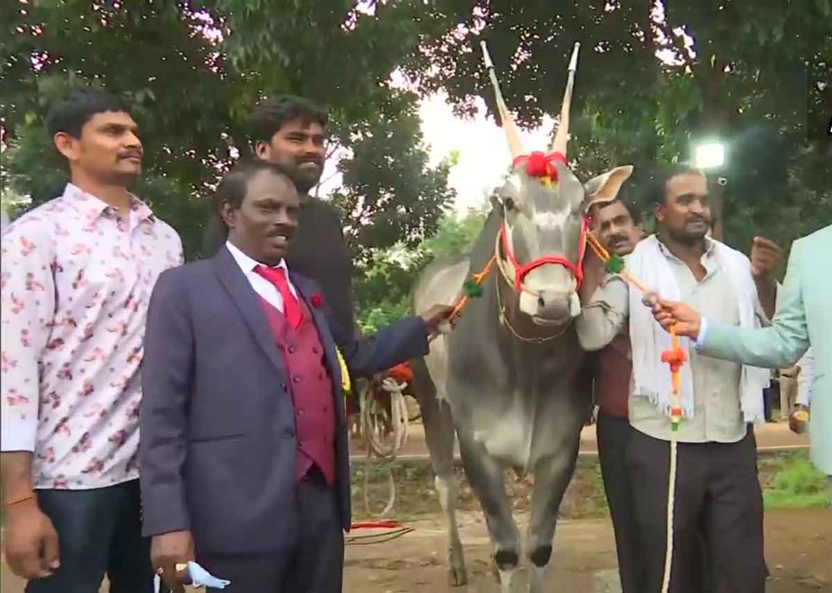 Bull : ఈ ఎద్దు విలువ రూ. కోటి.. కార‌ణం ఏంటో తెలిస్తే ఆశ్చ‌ర్య‌పోతారు