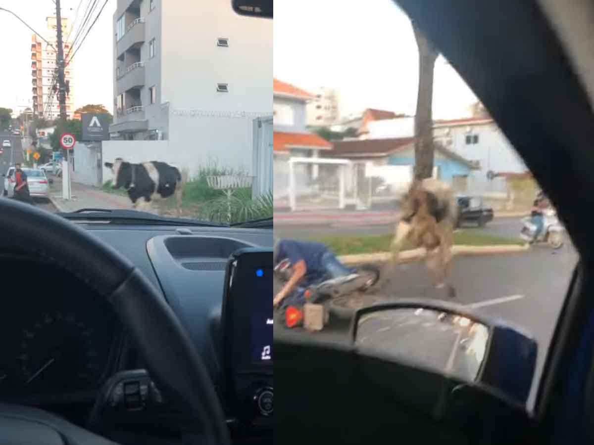 Viral Video : ట్రాఫిక్ ఉన్న రోడ్డు మీదికి దూసుకొచ్చిన ఆవు.. ఆ త‌ర్వాత ఏం జ‌రిగిందంటే?