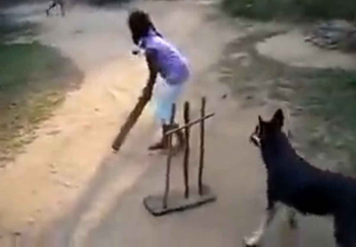 క్రికెట్ ఆడుతున్న కుక్క‌.. వింత‌గా చూస్తున్న స్థానికులు.. వైర‌ల్ వీడియో