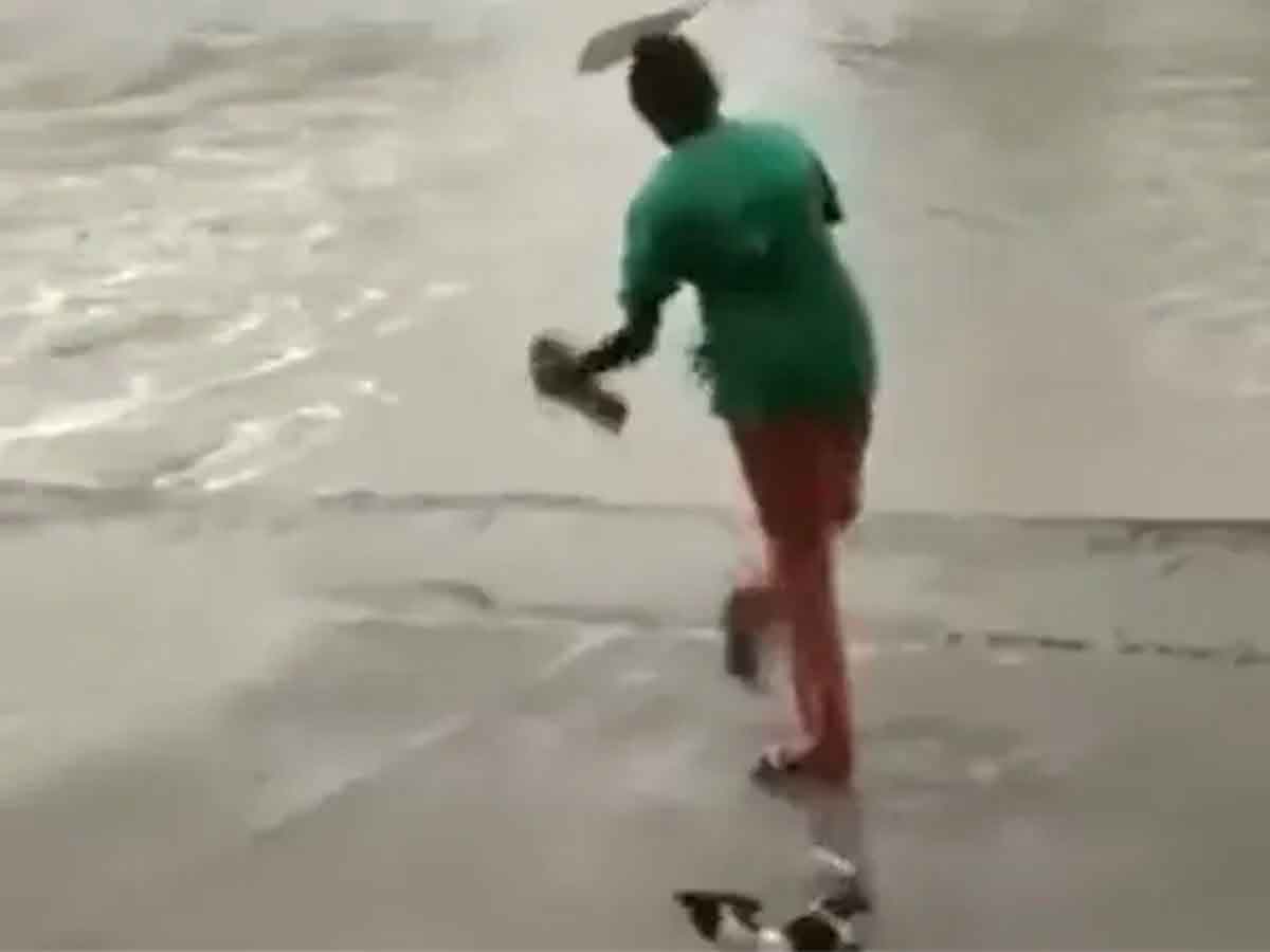 చెప్పుతో మొస‌లిని బెదిరించిన మ‌హిళ‌.. ఆ త‌ర్వాత ఏం జ‌రిగిందో చూడండి.. వైర‌ల్ వీడియో