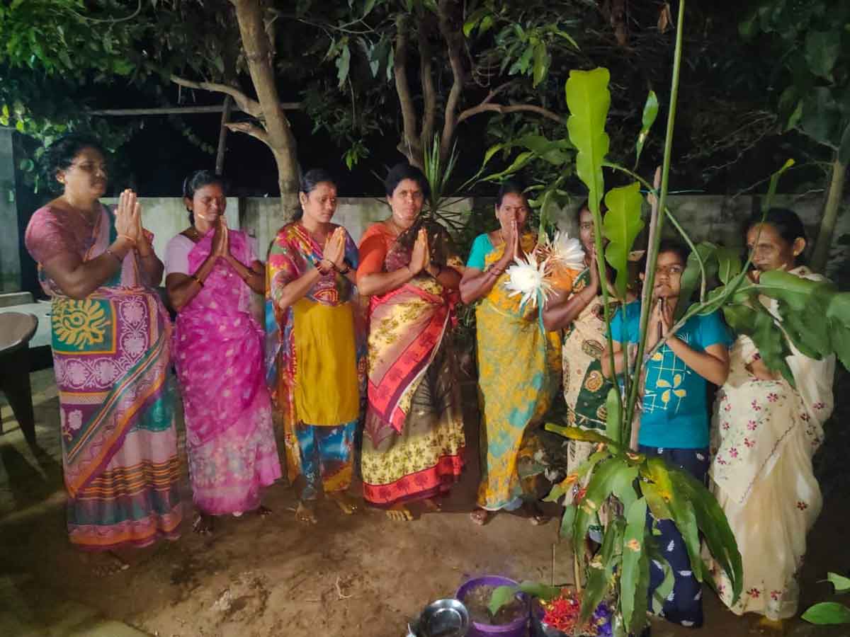 KOTHAGUDEM | దమ్మపేటలో విరబూసిన బ్రహ్మకమలాలు.. పూజలు చేసిన భక్తులు..
