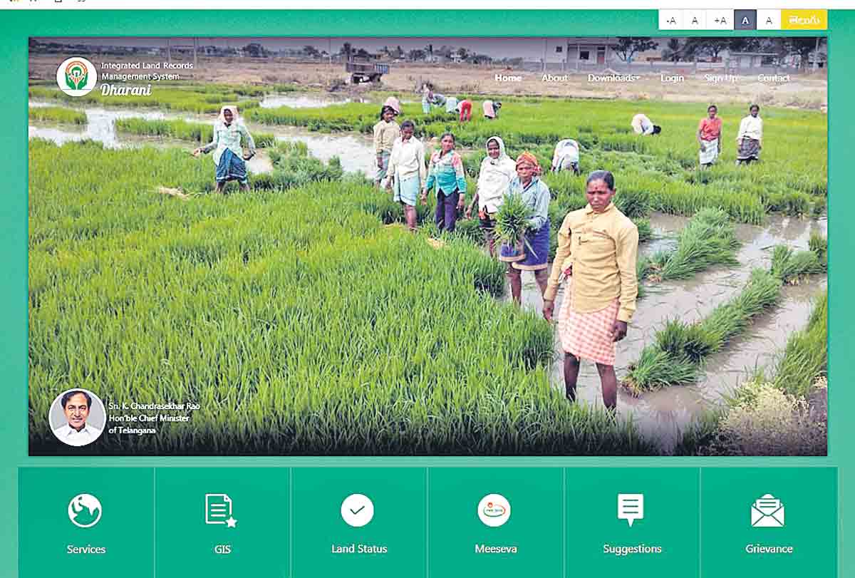 ధరణి విజయ దరహాసం