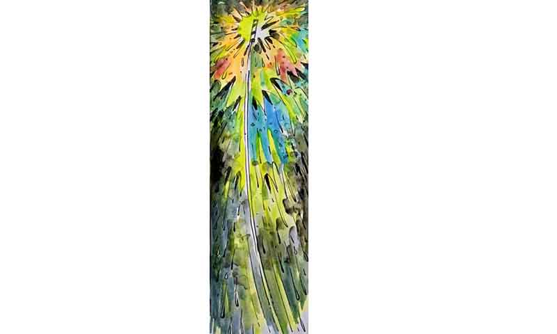 బతుకునిండా వెలుగులు