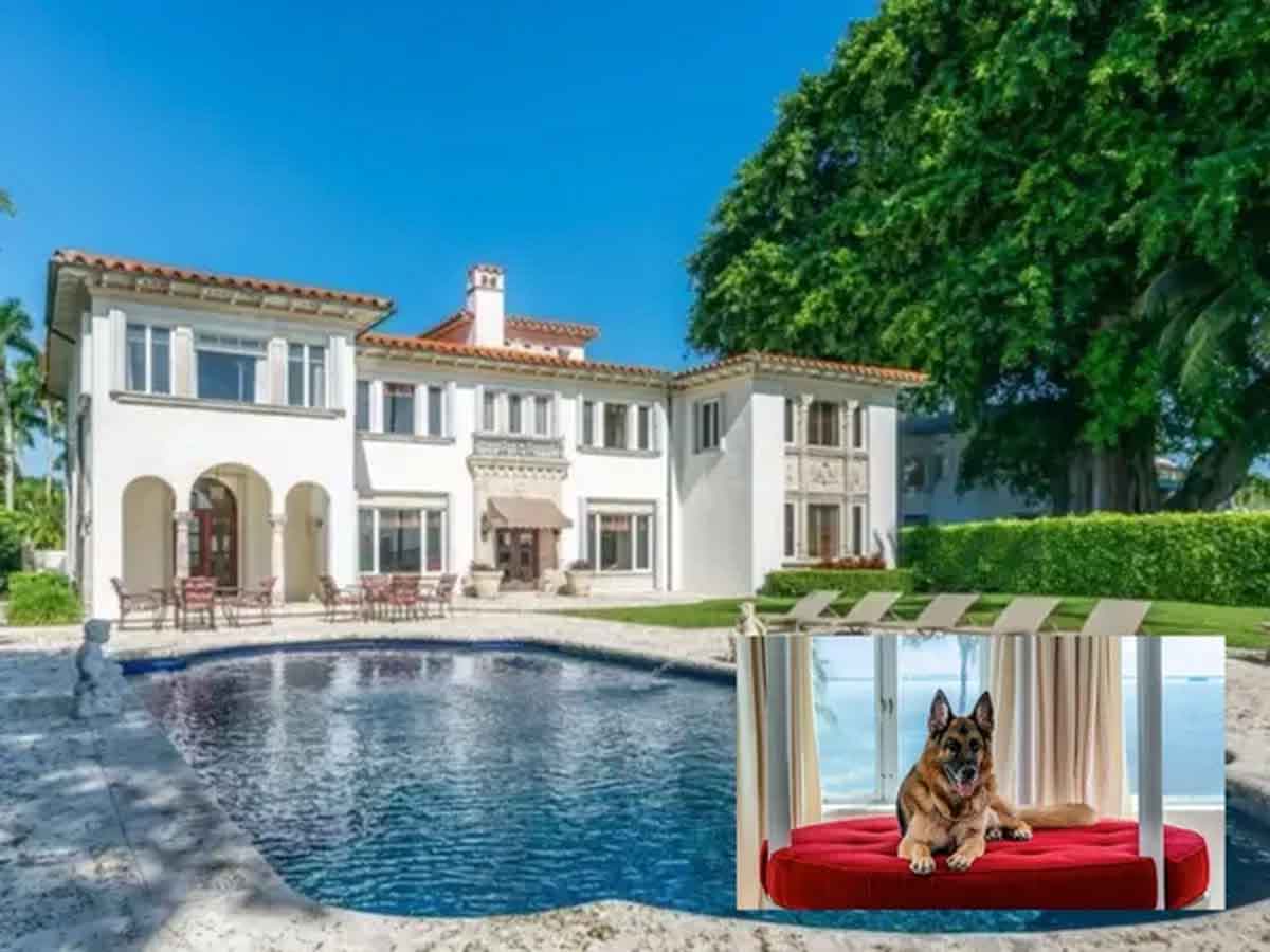 World’s Richest Dog : రూ.238 కోట్ల ప్రాప‌ర్టీని అమ్మ‌కానికి పెట్టిన కుక్క‌.. దానికి అంత ఆస్తి ఎక్క‌డిదో తెలుసా?