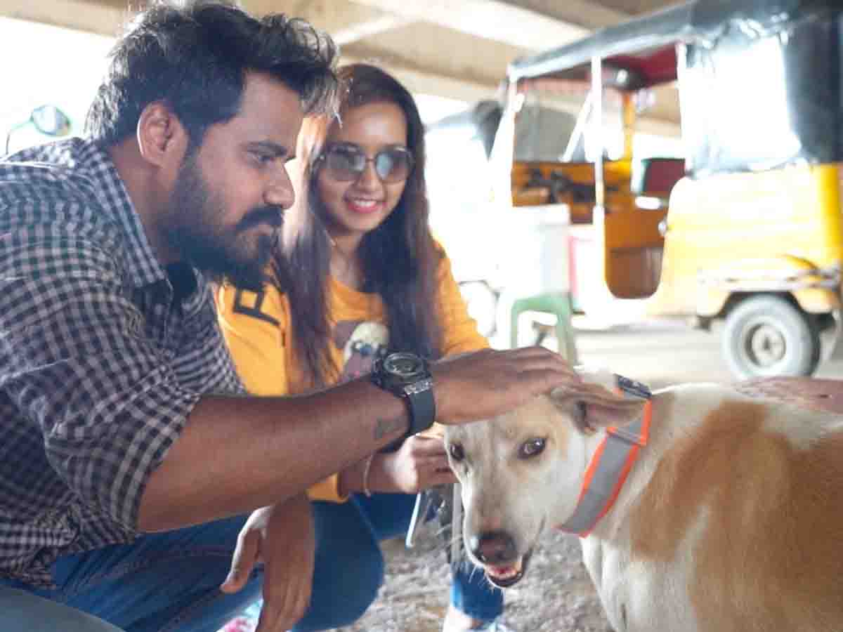 వీధికుక్క‌ల మెడ‌లో రిఫ్లెక్టివ్ కాల‌ర్‌..ఎవ‌రు తొడిగారు..? ఎందుకు తొడిగారు..?